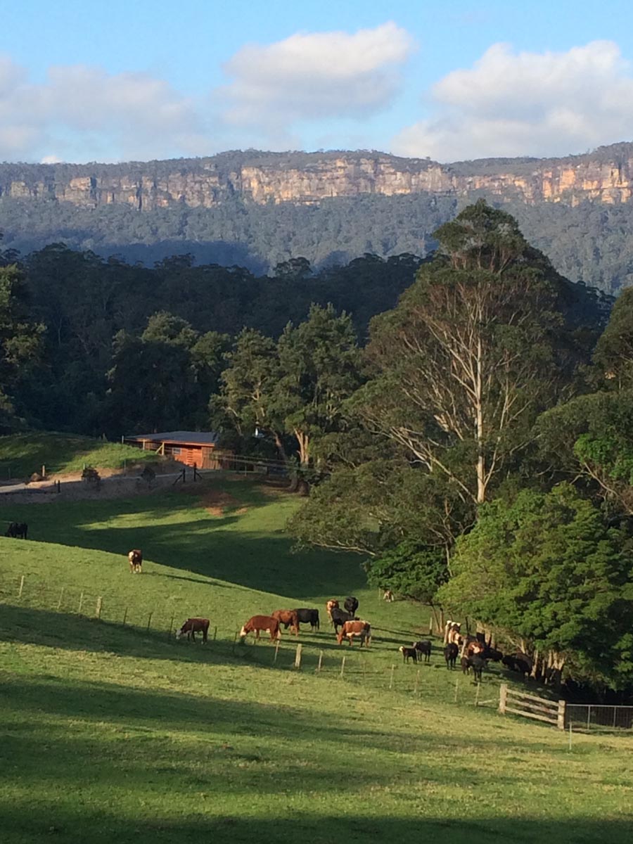 Luxury Kangaroo Valley